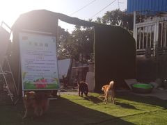 -小鱼草莓采摘园农家乐·小鱼餐厅