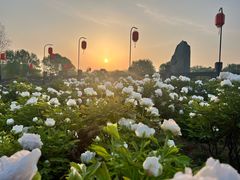 -洛阳市隋唐城遗址植物园