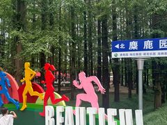 -日照海滨国家森林公园