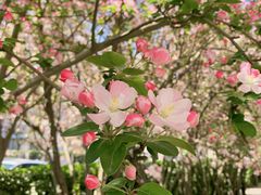 -天津津利华酒店