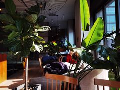 大堂-The Rug Cafe(王府中环店)