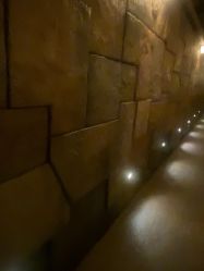 -翱翔飞越地平线