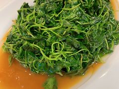 -后宫私房菜(汇客美食娱乐广场店)