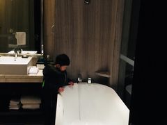 -常州环球恐龙城维景国际大酒店