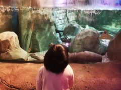 -沈阳海洋探索中心