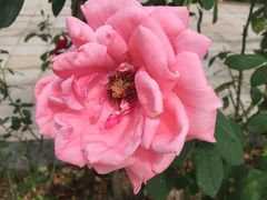 -韶关经律论国际酒店温泉