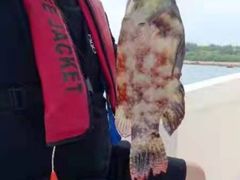 -小猫钓鱼海钓俱乐部(椰梦长廊店)