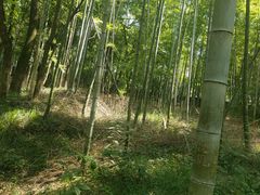 -善卷洞风景区