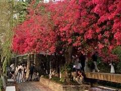 -东莞市可园博物馆