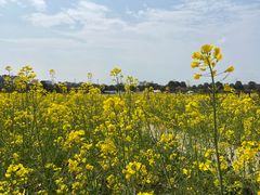 -武汉紫薇都市田园