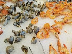 -美盛喜来登大酒店-盛宴标帜餐厅