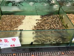 水产区-明珠海港大酒店