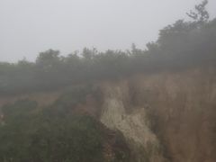 -大围山国家森林公园