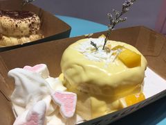 -狐狸和向日葵(北京路店)