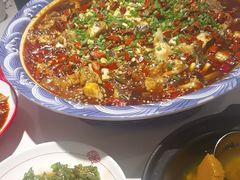 -新概念来凤鱼(璧山店)