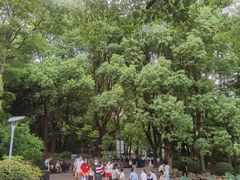 -人民公园-相亲角