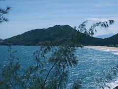-广东惠东海龟国家级自然保护区