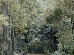 -阳台山森林公园
