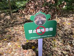 -上海佘山国家森林公园天马山园