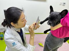 -美联众合动物医院·24h转诊中心