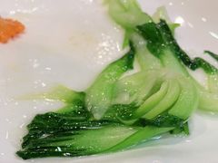 炒上海青-清真益鑫羊肉手抓馆(南大街店)