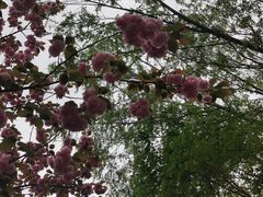 -江南大学(蠡湖校区)