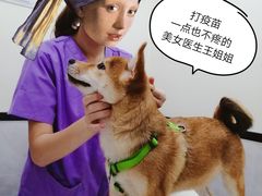 -心语宠物医院·急重症转诊中心·瑞辰华诺(南青路店)