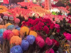 -越秀西湖花市(广州城市广场花卉店)