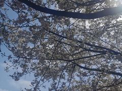 -南山植物园