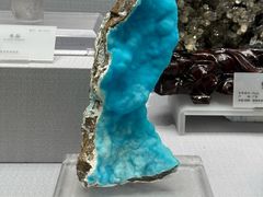 -湖南省地质博物馆