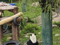 -沈阳森林动物园