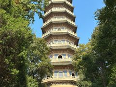 -灵谷景区