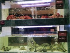 -徐记海鲜(阿波罗店)