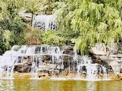 -北京西山国家森林公园