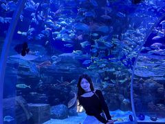 -顺德南宏海立方海洋公园