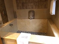 -天明山温泉大酒店