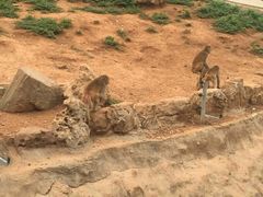 -石家庄市动物园