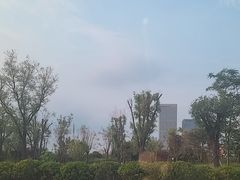 -花和海鲜自助(梅江店)