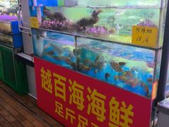 -阿水土鸡(远光店)