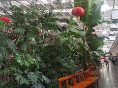 -兴芮温泉度假区