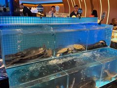 -山海•蒸汽活海鲜自助(皇庭广场店)