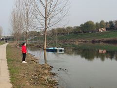 -洨河生态公园