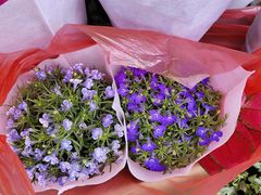 -POLO小馆·老南京菜(解放路店)