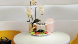 -MIVI野生眉纹绣纹眉