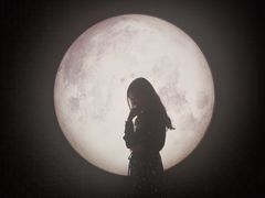 -STARRY CAFE & LOUNGE BAR(高新店)