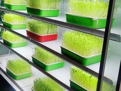 -番食园鲜食火锅(高新店)