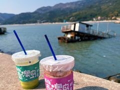 -南澳岛打卡果汁冰公司