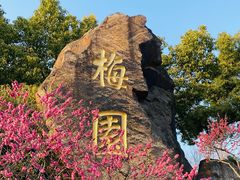 -无锡梅园公园
