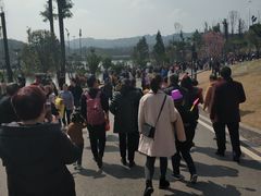 -枫香湖儿童公园