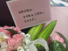 -爱月宝月嫂·育儿嫂(哈尔滨总店)